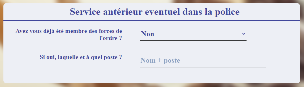 section candidature.PNG